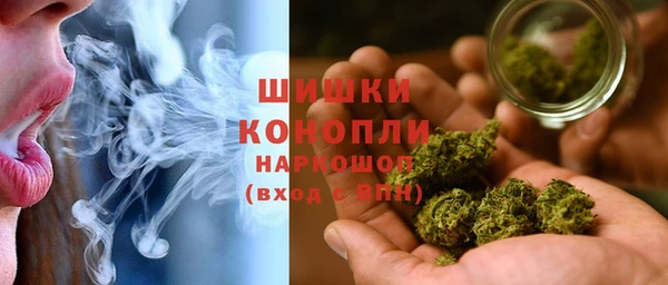 PSILOCYBIN Абдулино