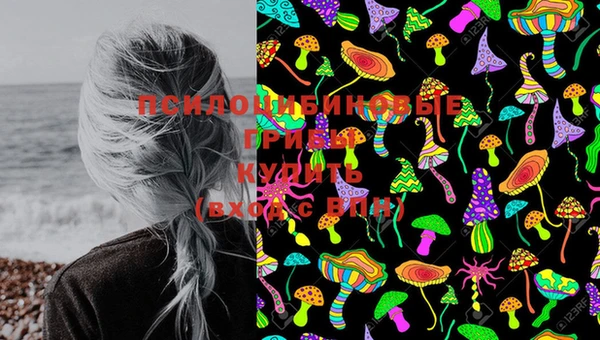 PSILOCYBIN Абдулино