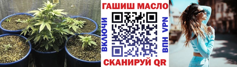 Дистиллят ТГК Wax купить Сергач