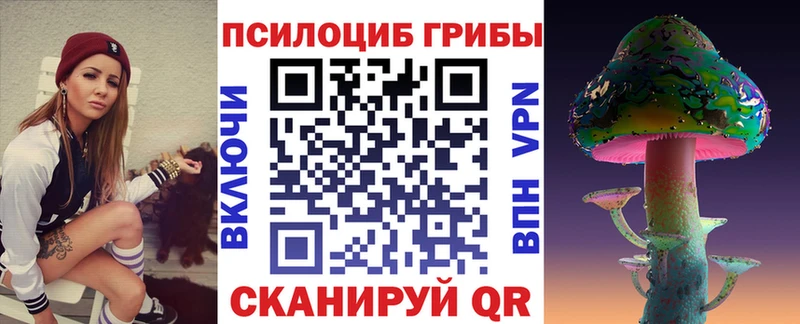 kraken ссылки  это наркотические препараты  Галлюциногенные грибы Psilocybine cubensis  Сергач 